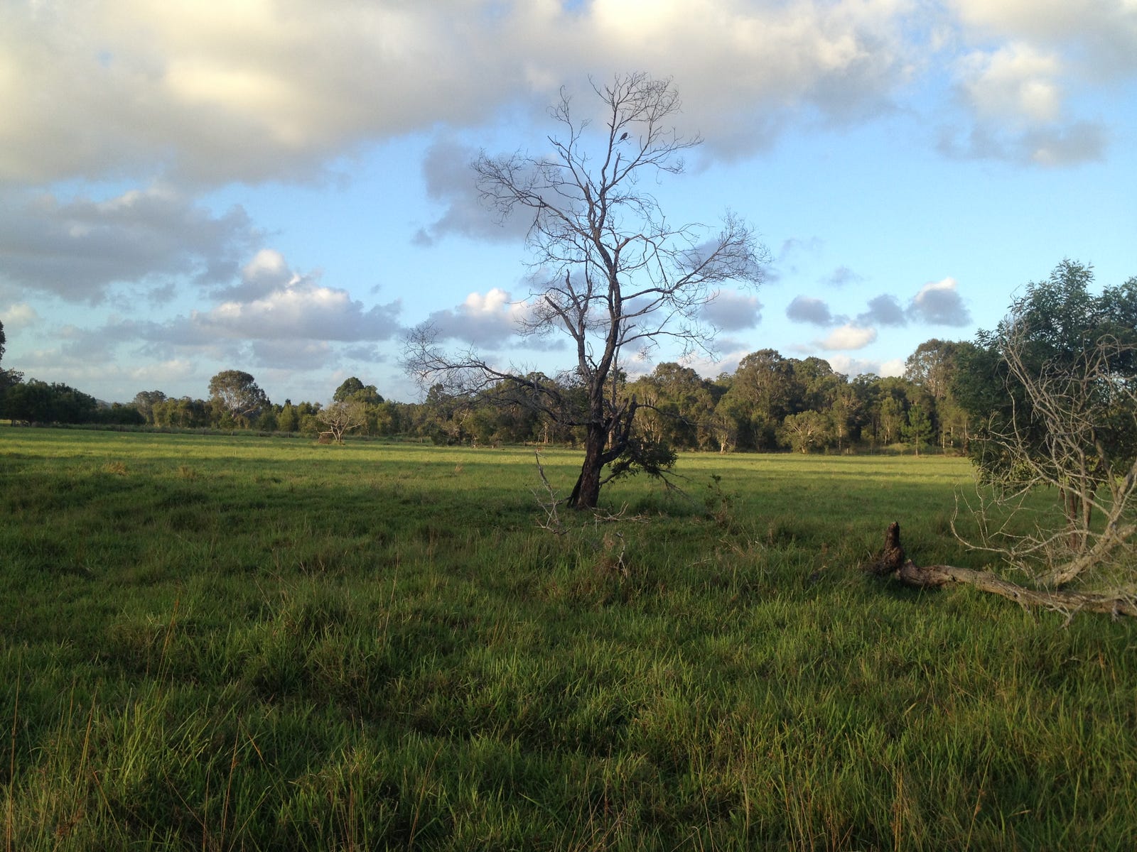 Private Listing - Cootharaba, Qld 4565