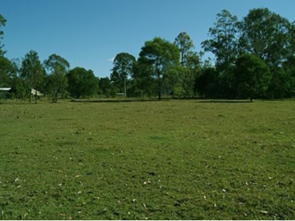 Private Rental in Logan Reserve, Qld 4133
