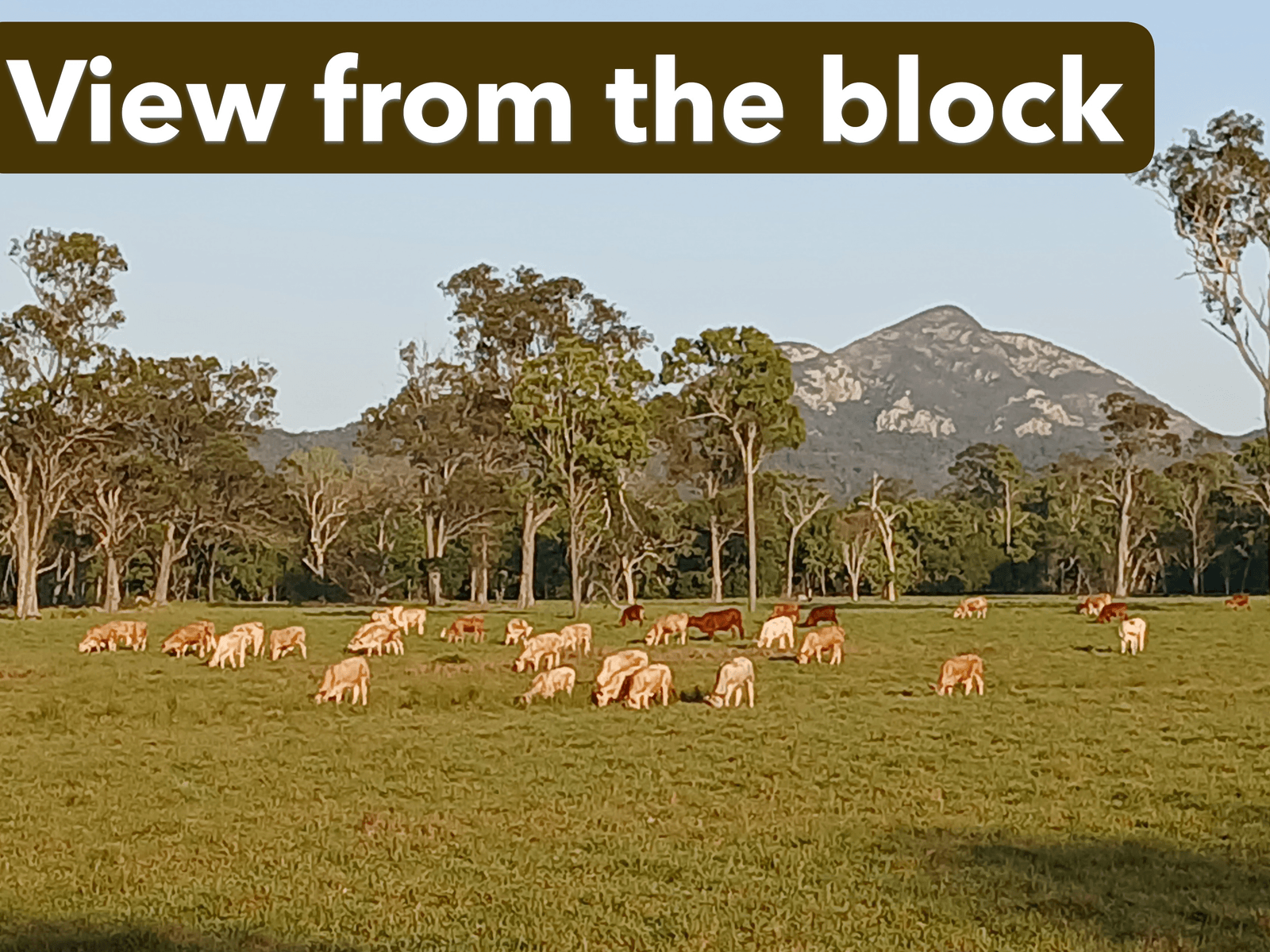 Private Property - Coorooman, Qld 4702
