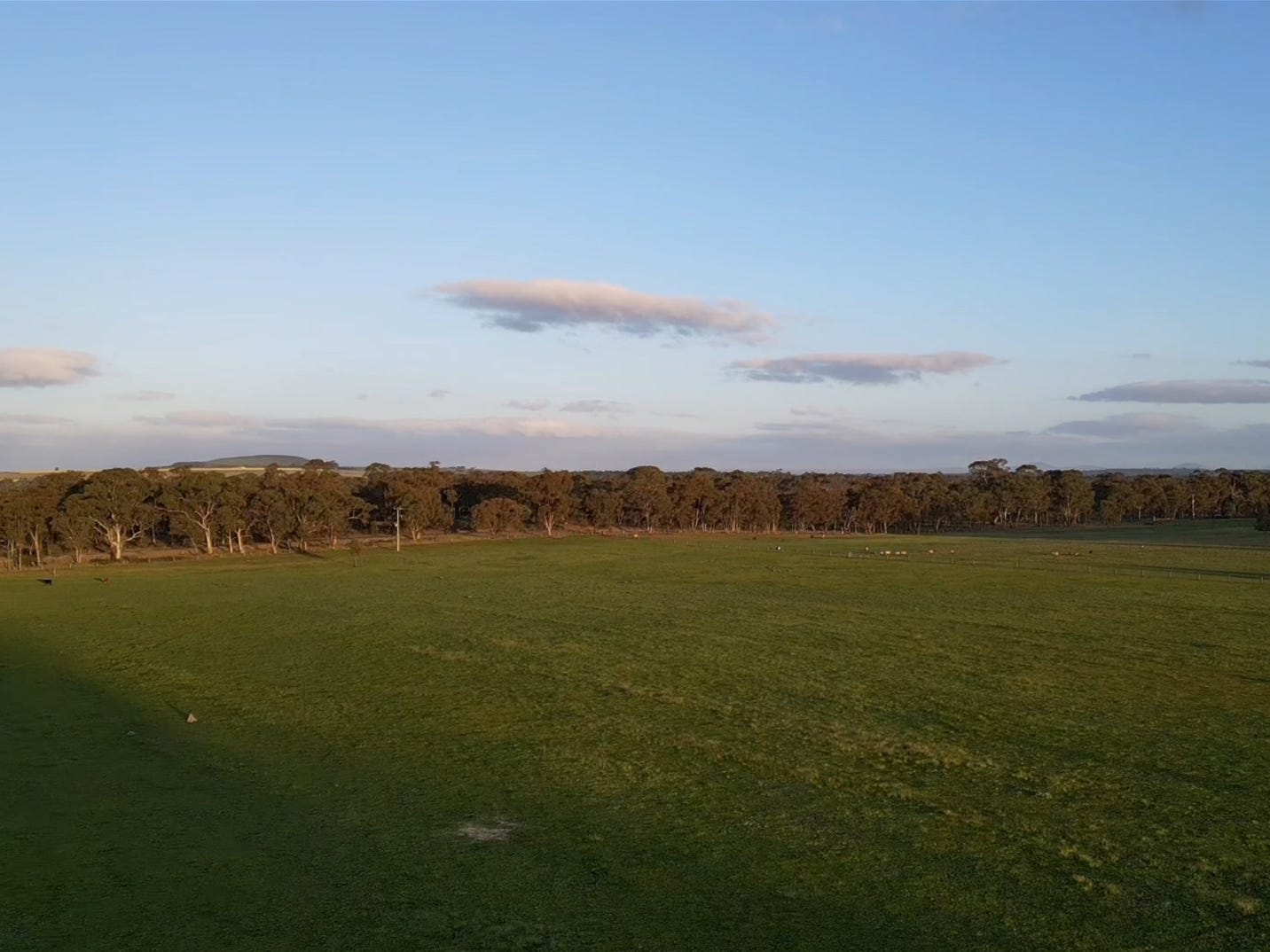 Private  Property - Carisbrook, Vic 3464