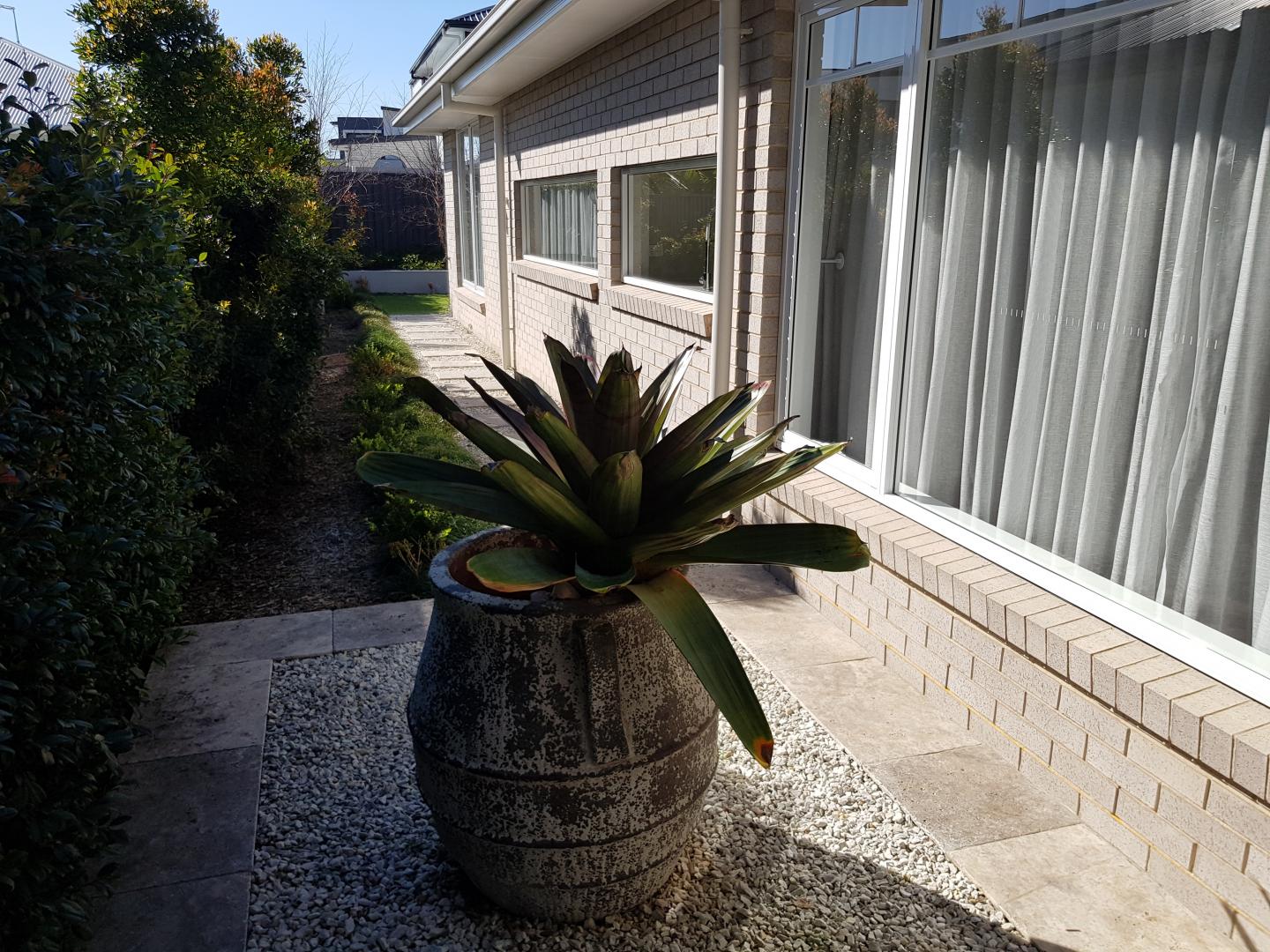 Private Rental in Newport, Qld 4020