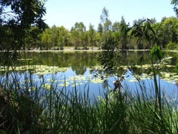 Rental Property - pMidgeree Bar, Qld 4852