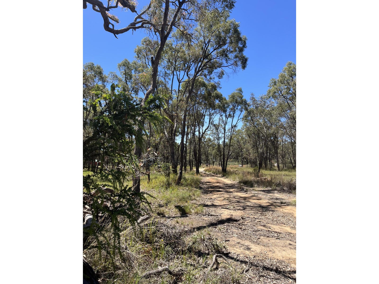 Sale Property - Coonabarabran, NSW 2357