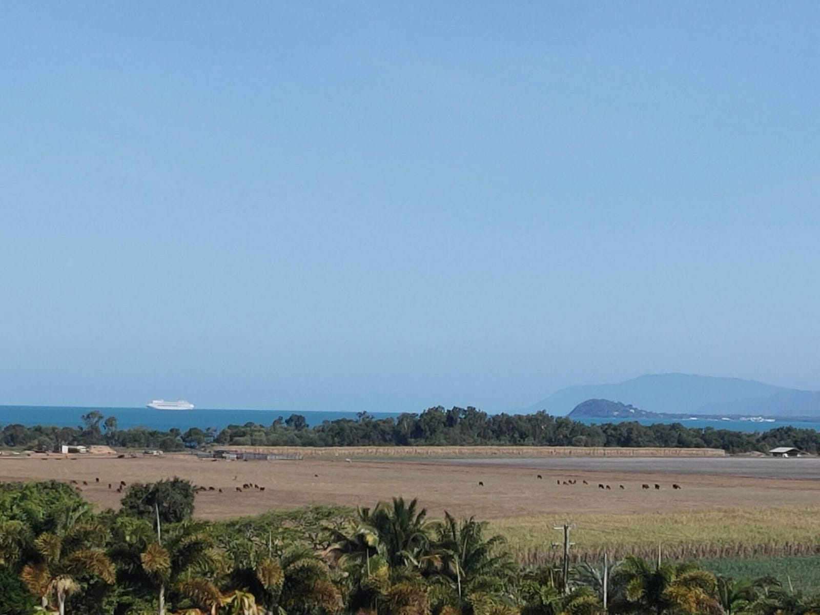 Private Listing - Miallo, Qld 4873