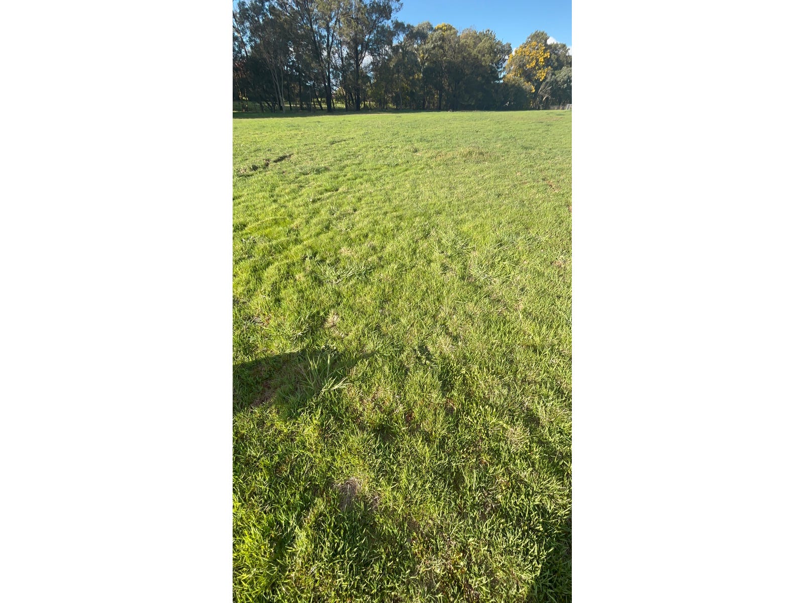 Rental Property - pMurrumbateman, NSW 2582