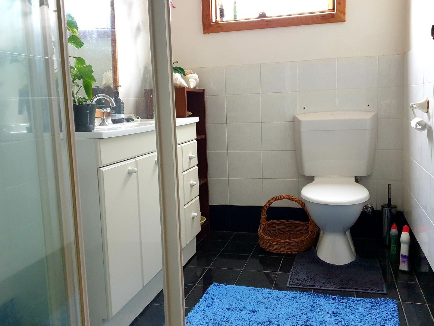 Private Rental in Aberfoyle Park, SA 5159