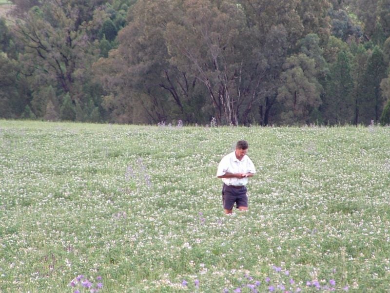 Sale Property - Ulamambri, NSW 2357