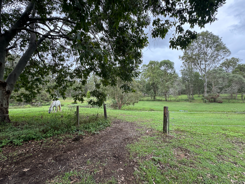 Private Rental in Logan Reserve, Qld 4133