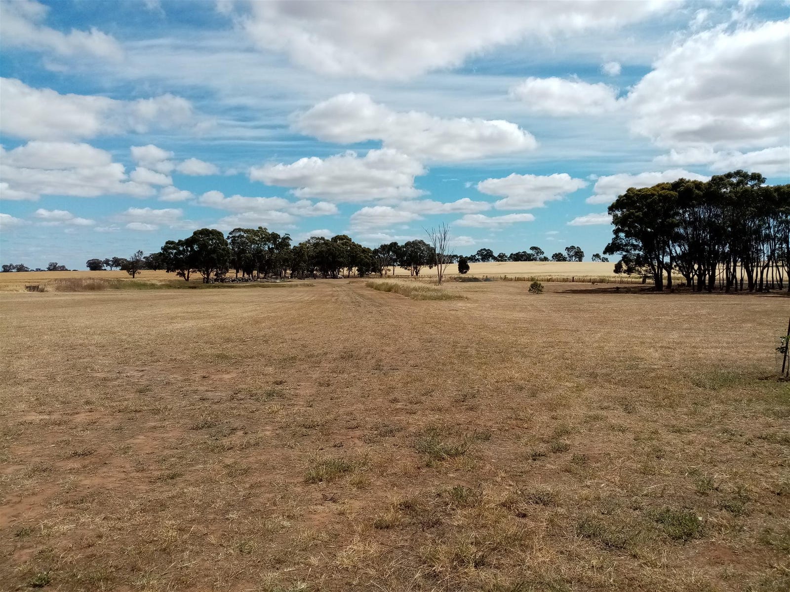 Private Listing - Bonn, Vic 3561