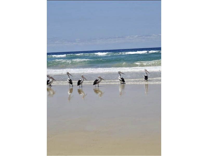 Private Rental in Marcus Beach, Qld 4573
