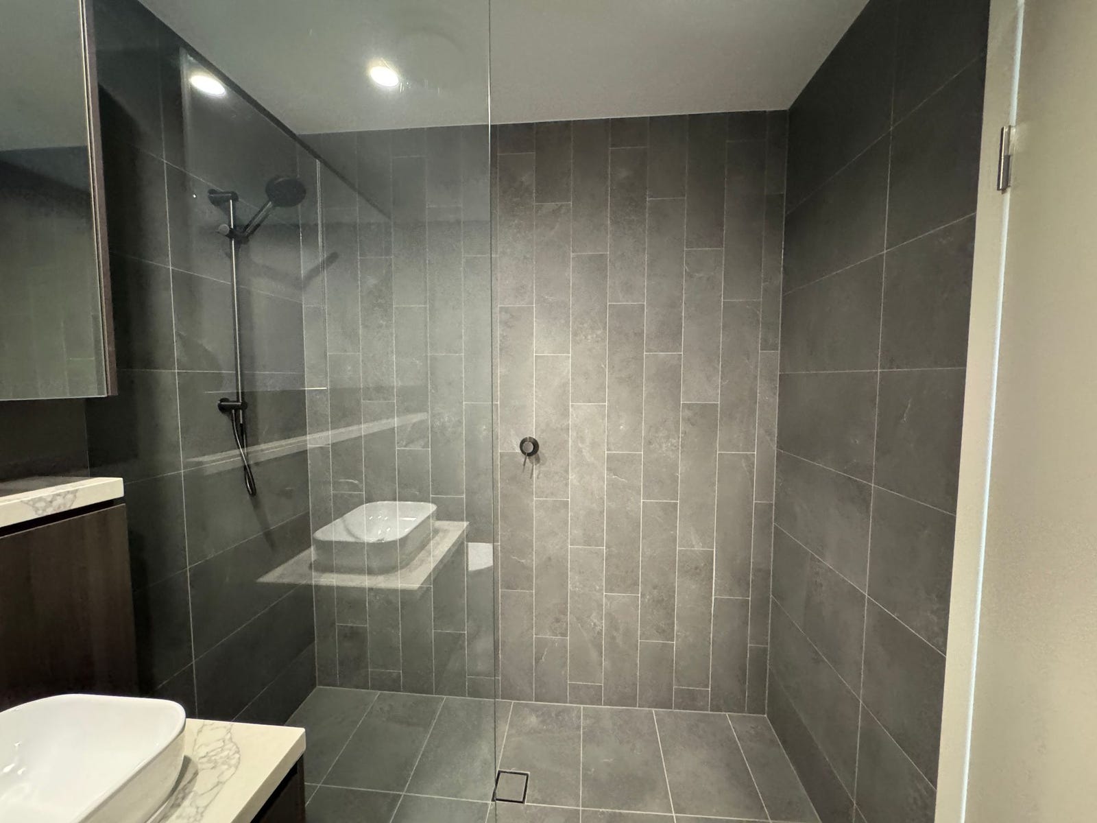 Private Rental in Lidcombe, NSW 2141