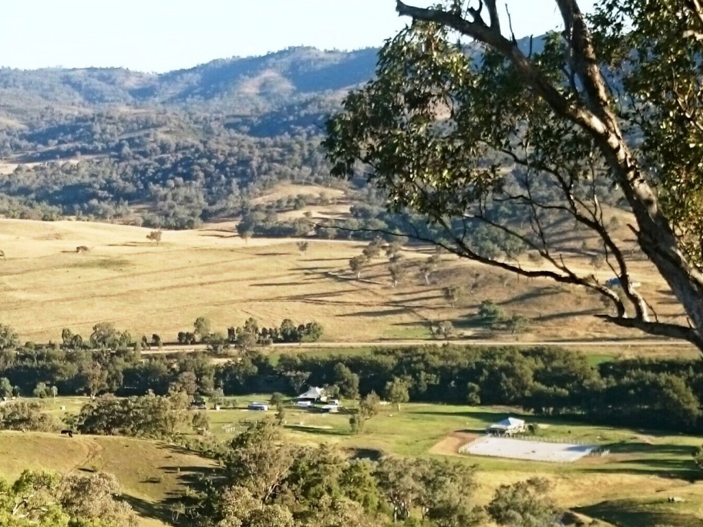 Private Listing - Halls Creek, NSW 2346