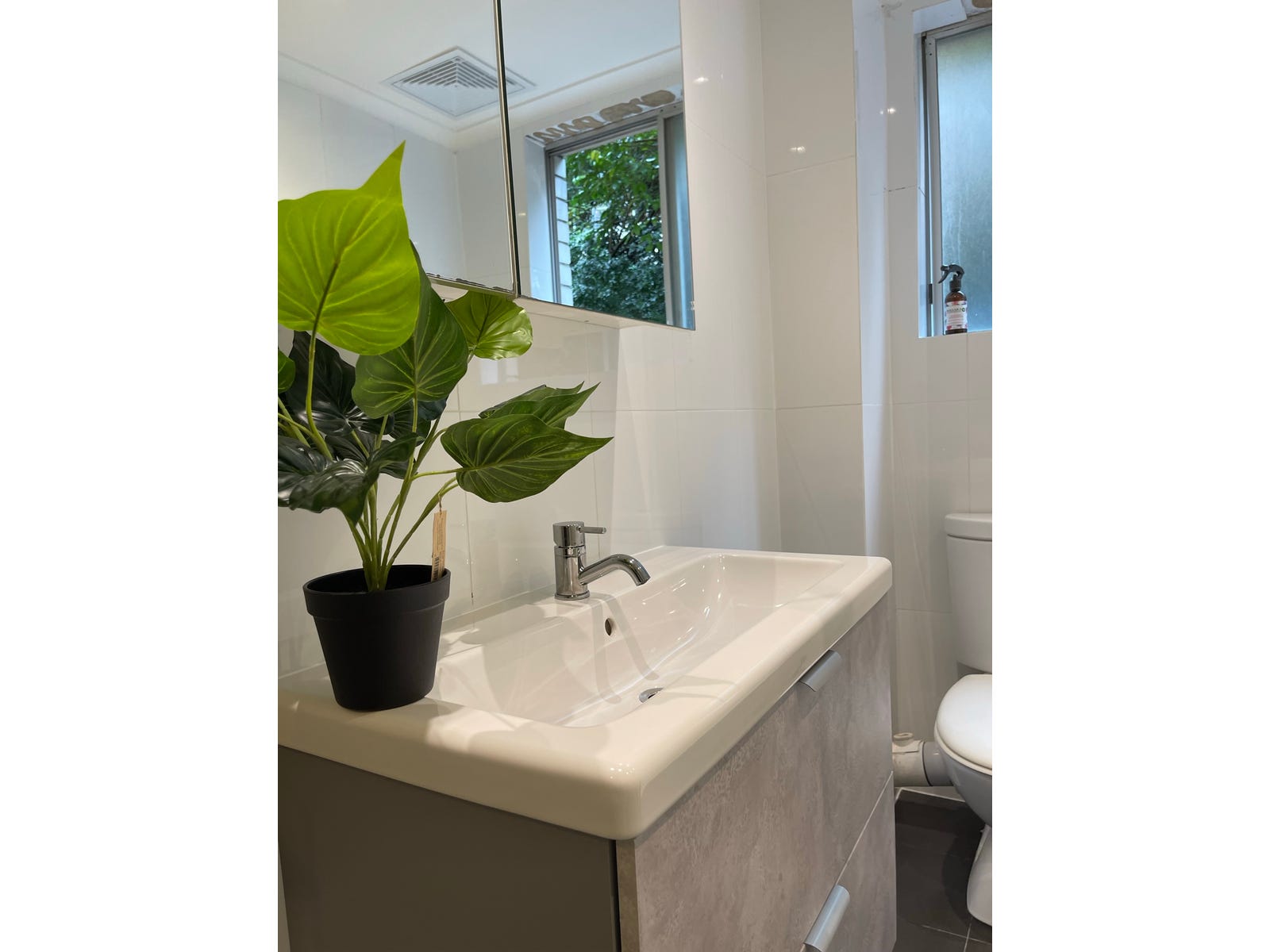 Private Rental in Artarmon, NSW 2064