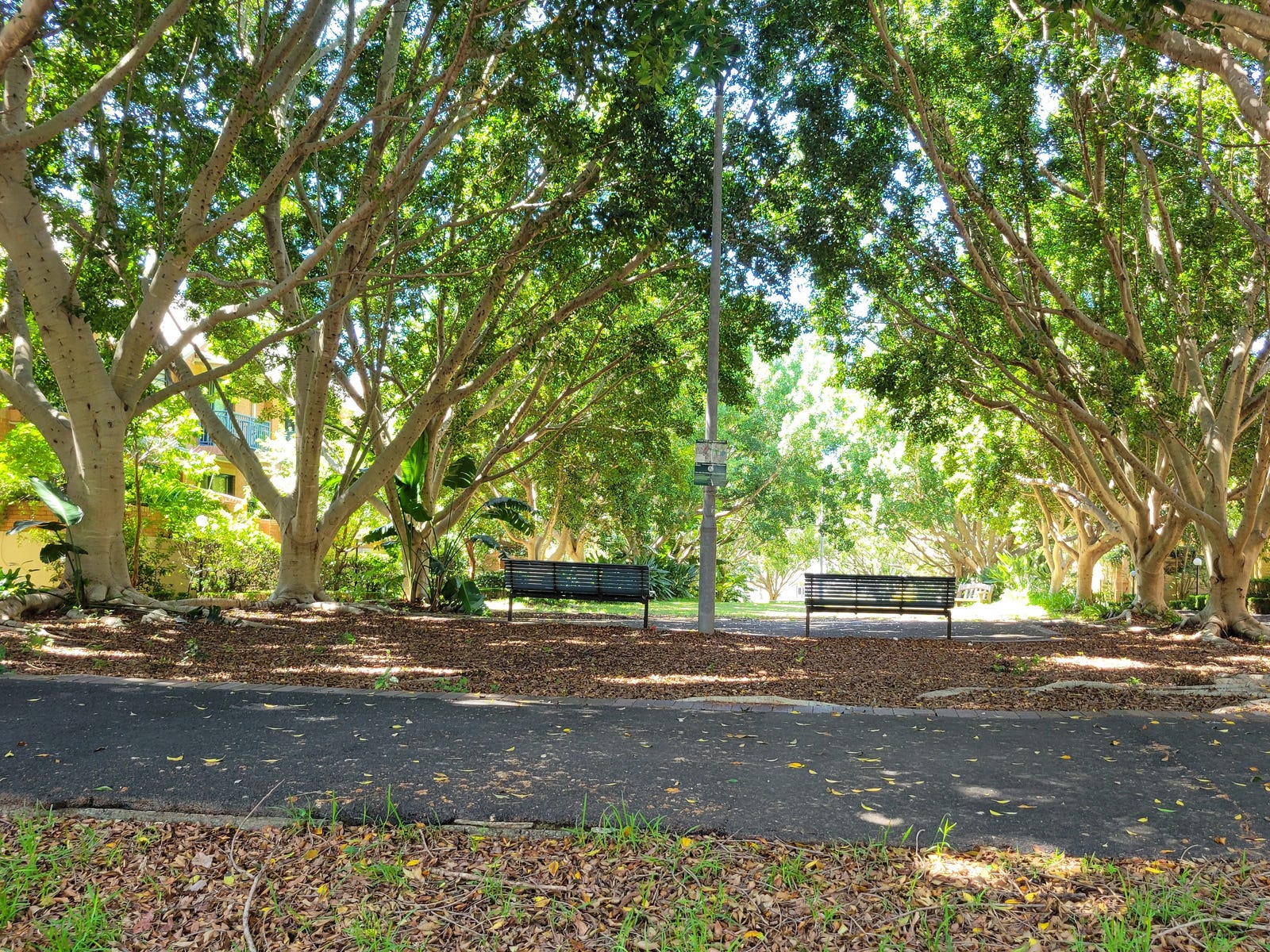 Private Rental in Balmain, NSW 2041