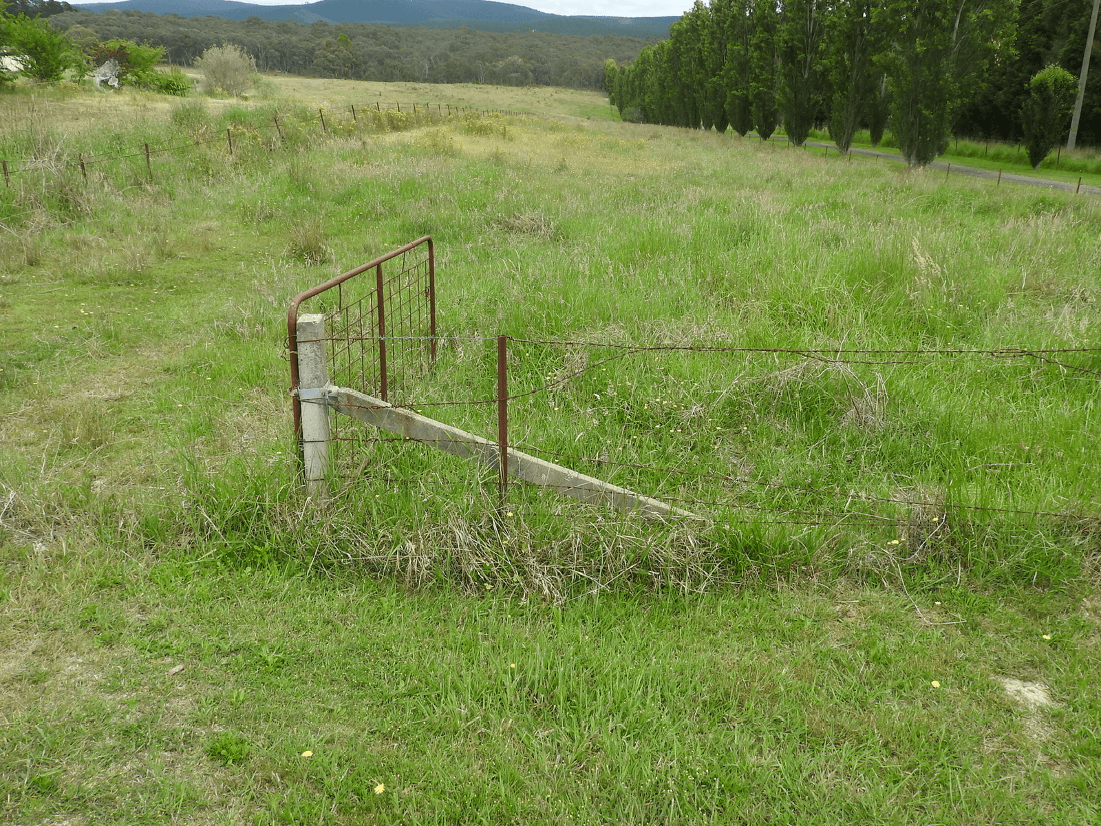 Property for sale - Portland, NSW 2847