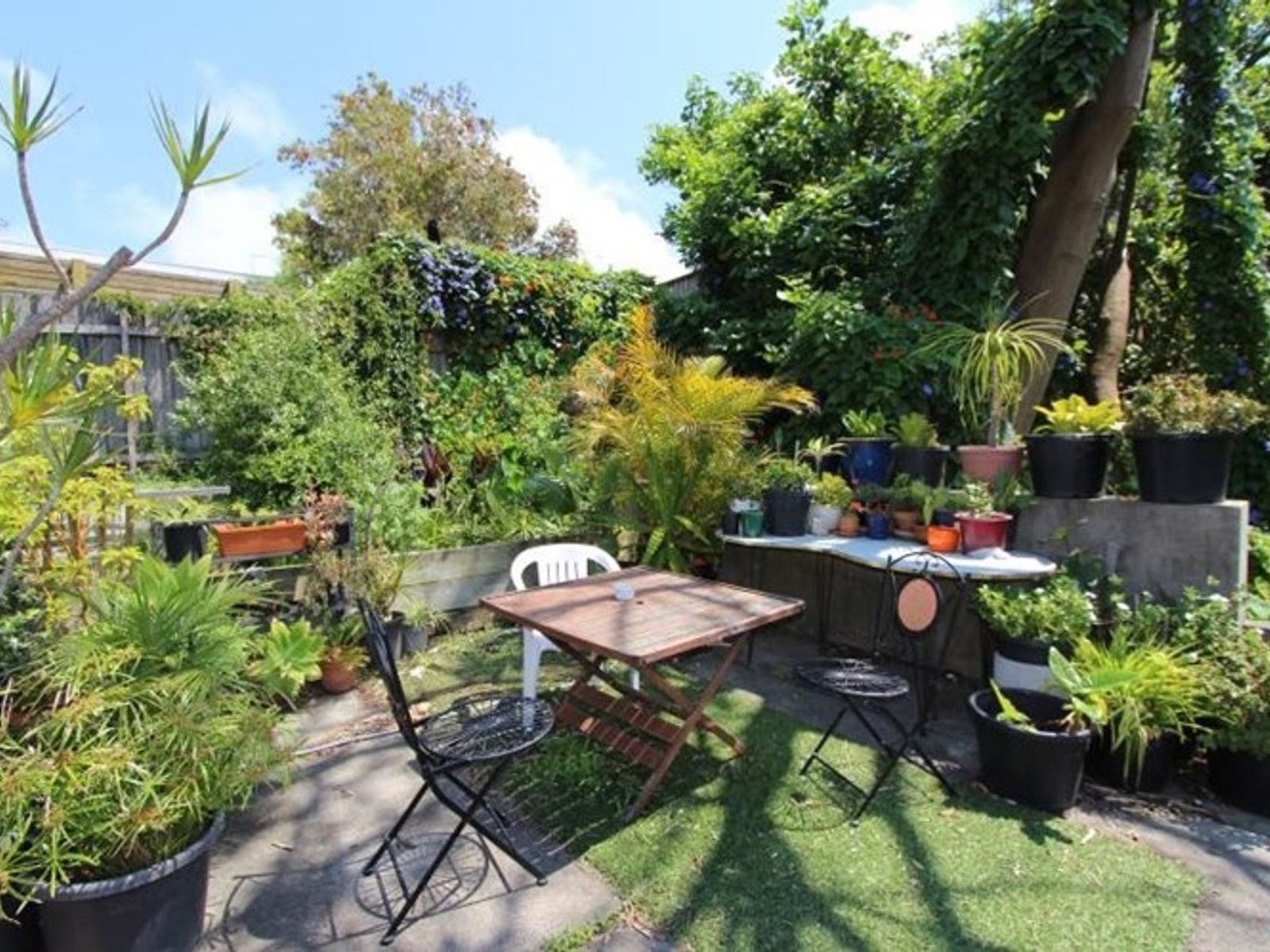 Property for Rent: Bondi Beach, NSW 2026