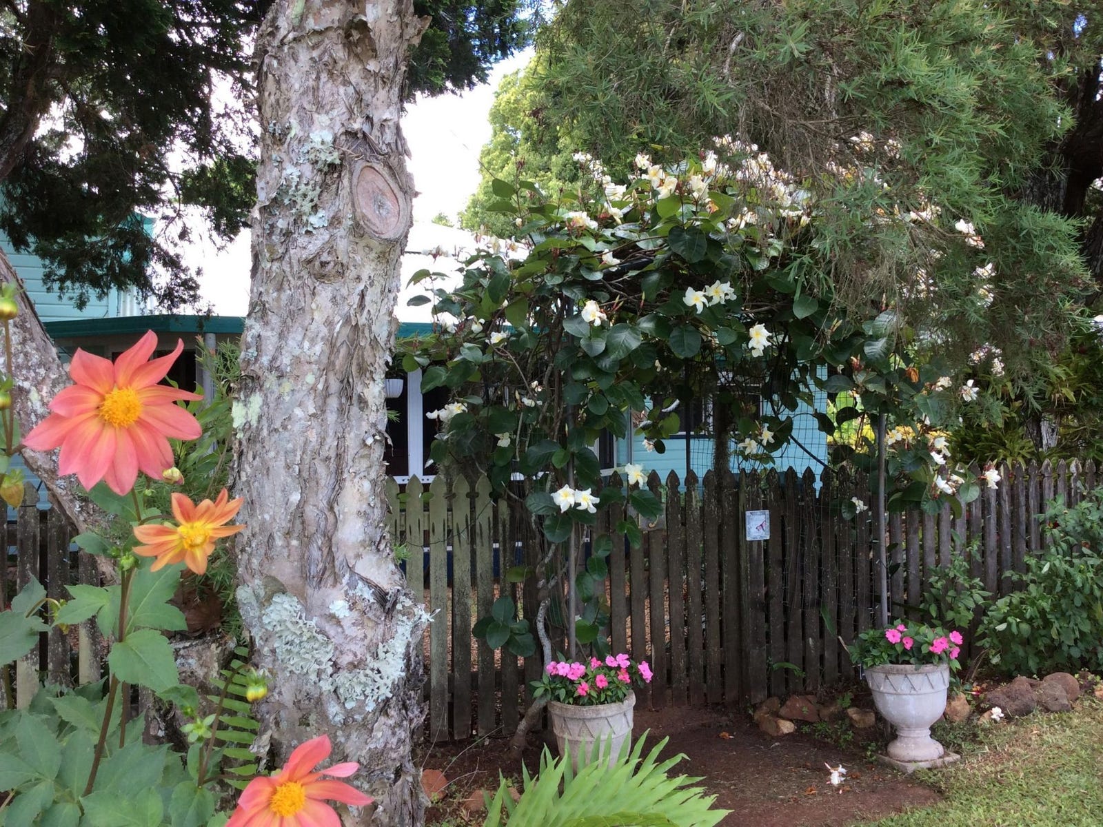 Private Listing - Ravenshoe, Qld 4888