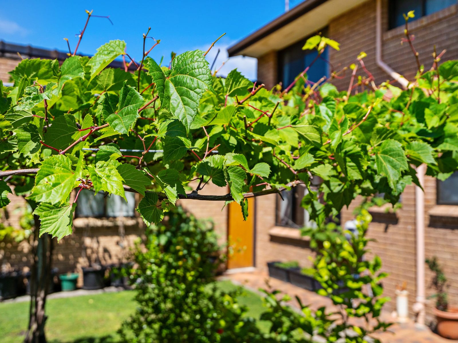 For Sale By Owner Long Jetty, NSW 2261