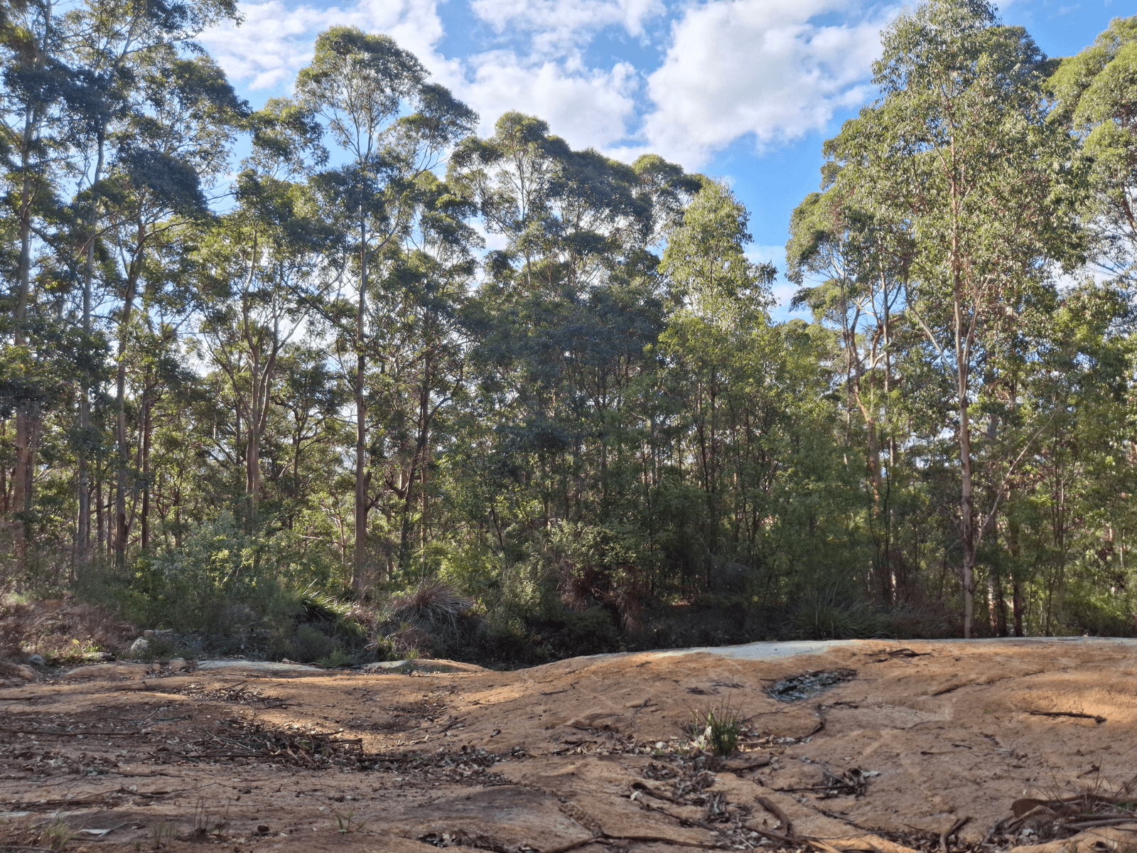 Sales Property - pOcean Beach, WA 6333