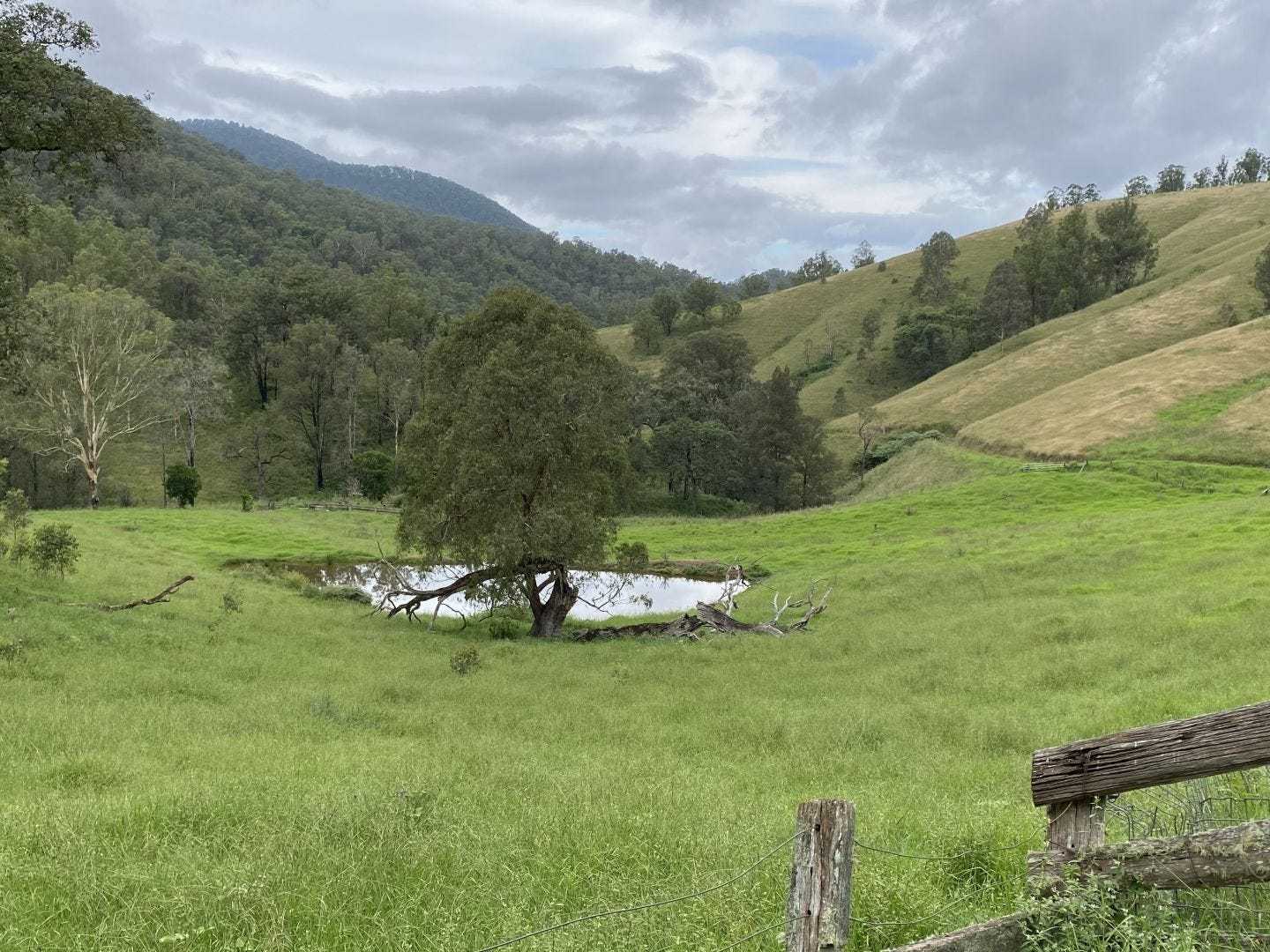 Sale Property - Cooplacurripa, NSW 2424