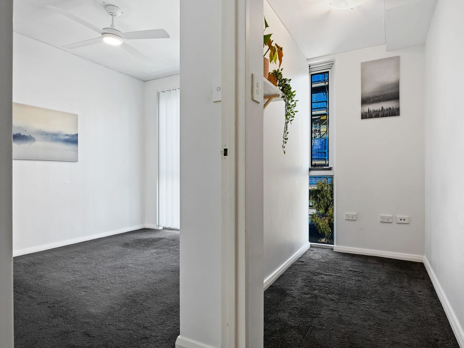Property for Rent: Mascot, NSW 2020