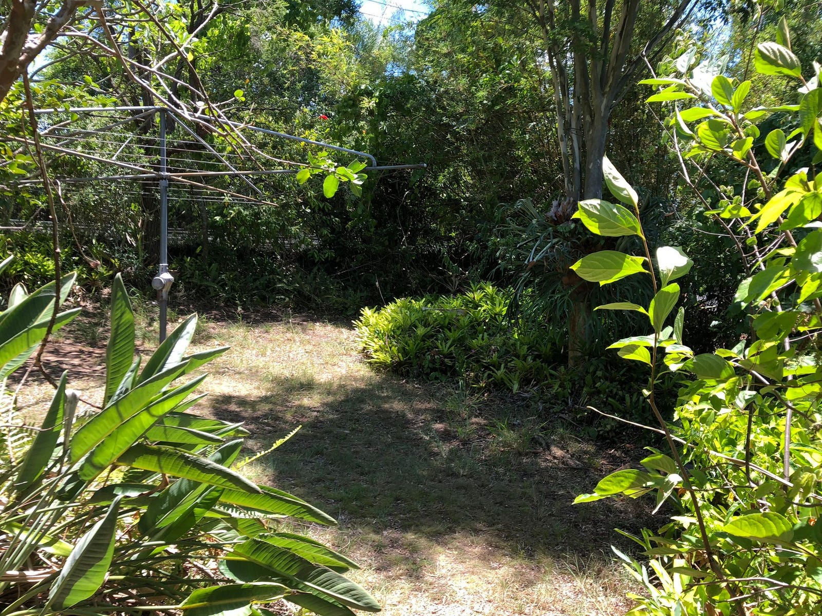 Private Rental in Toowong, Qld 4066