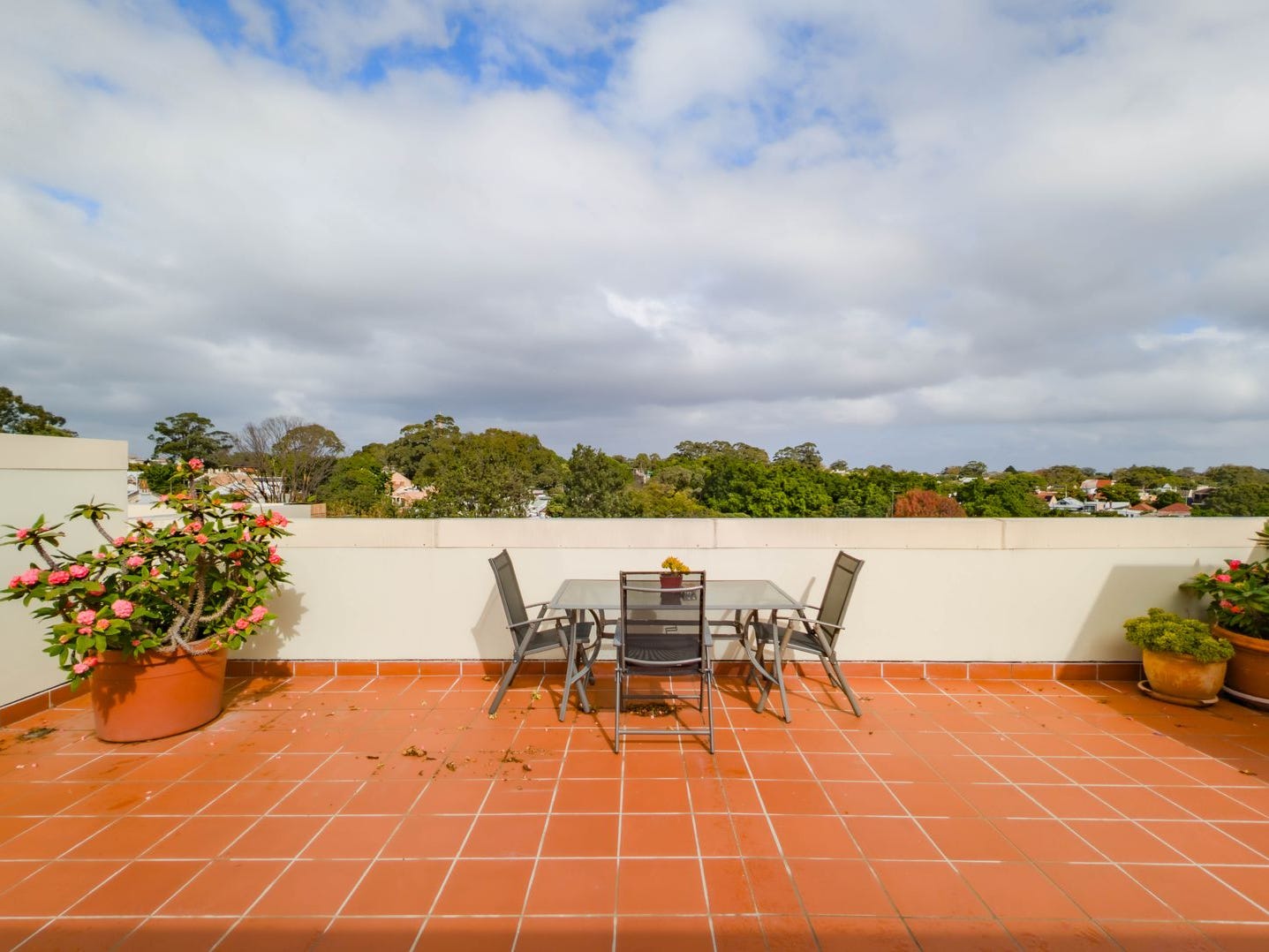 Property for Rent: Newtown, NSW 2042