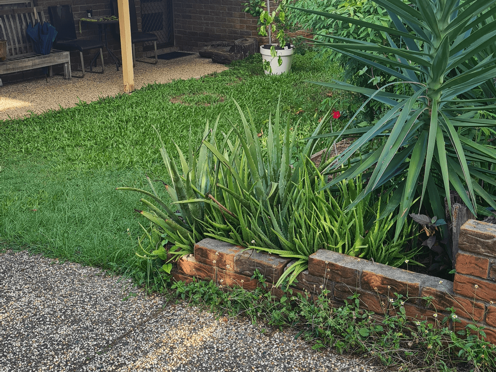 Land for sale - Collingwood Park, Qld 4301