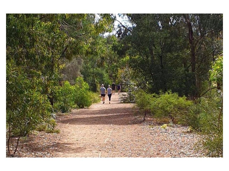 Private Rental in Hawthorn, Vic 3122