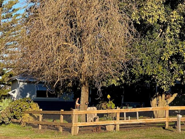 Private Property - Benjinup, WA 6255