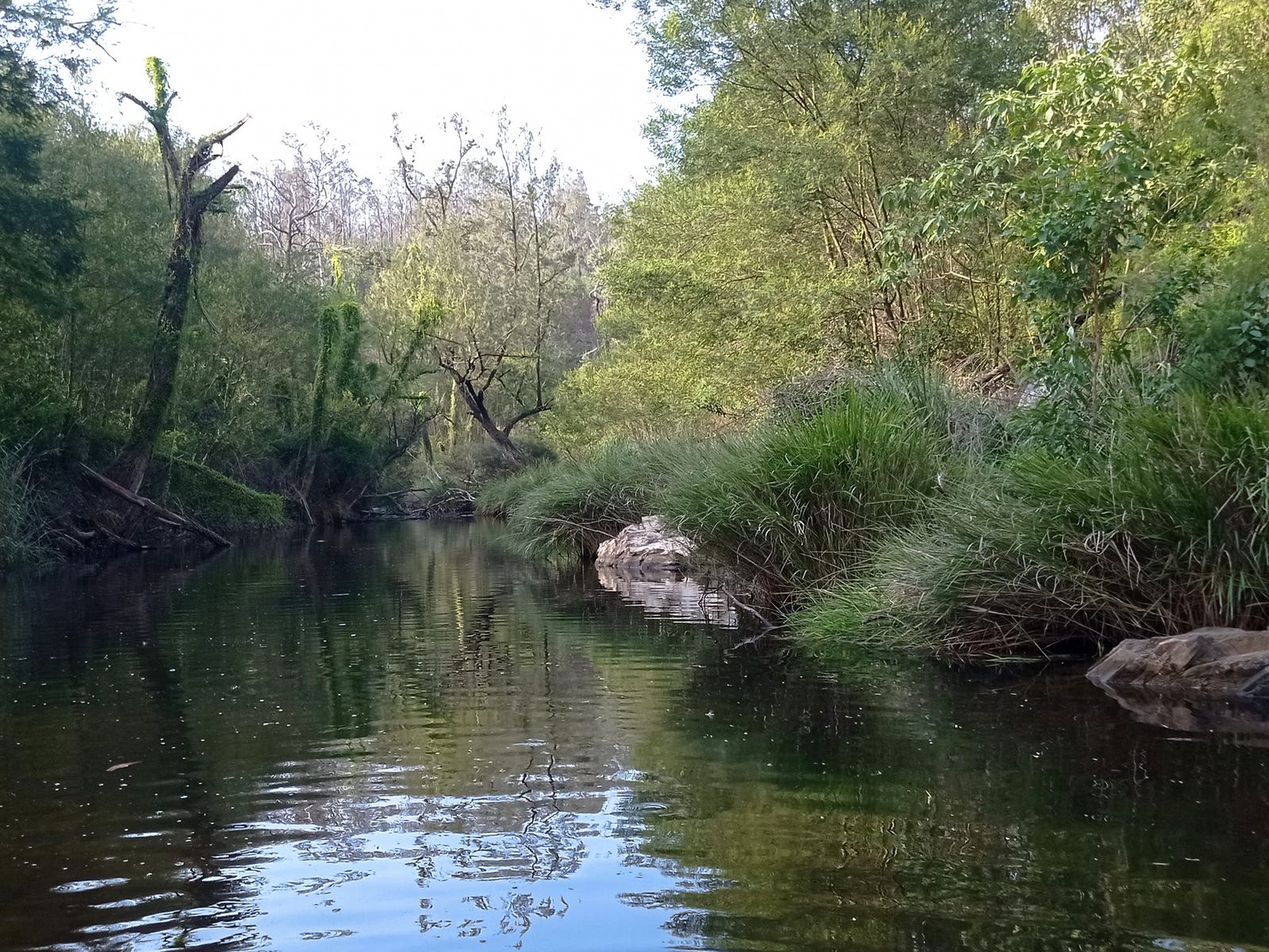 Land for sale - Bulldog, NSW 2469