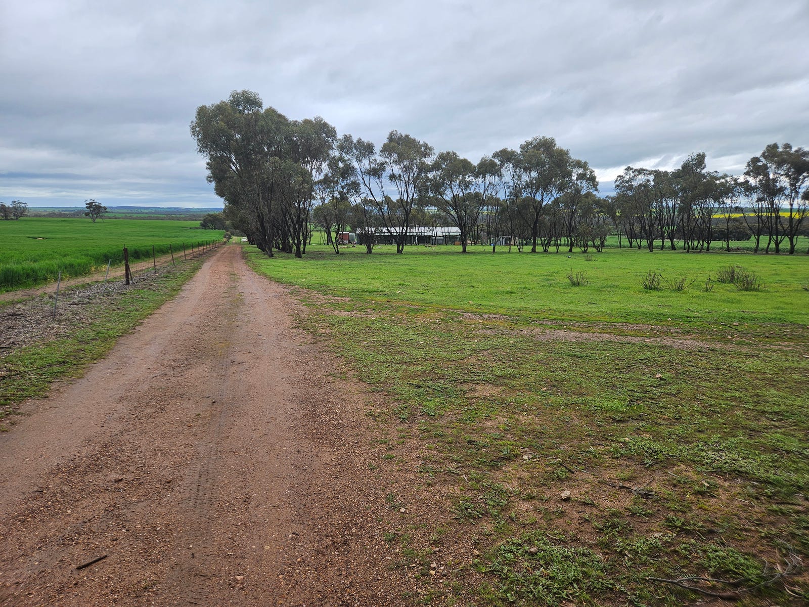 Private  Property - Caljie, WA 6302