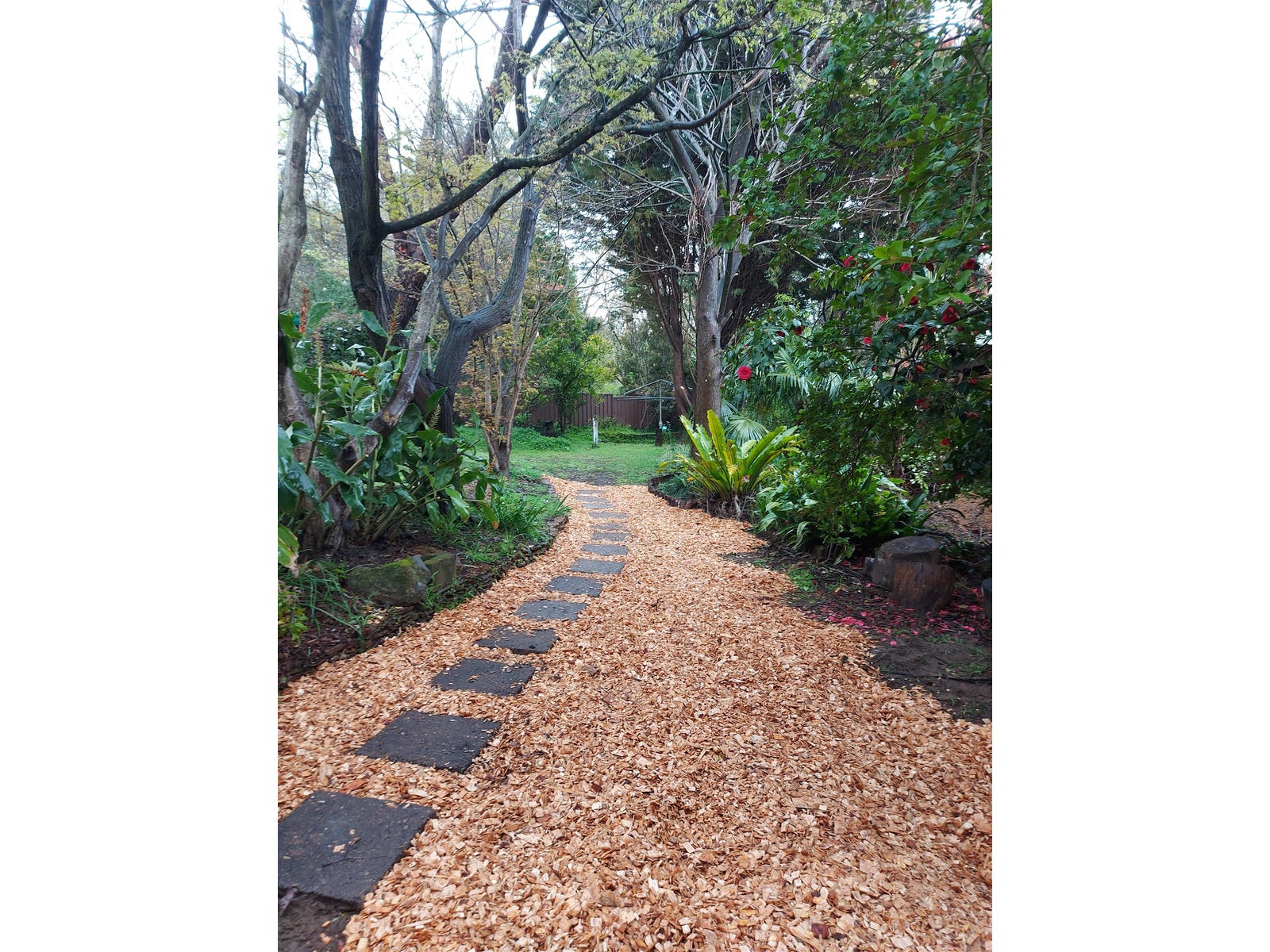 Property for Rent - Lawson, NSW 2783