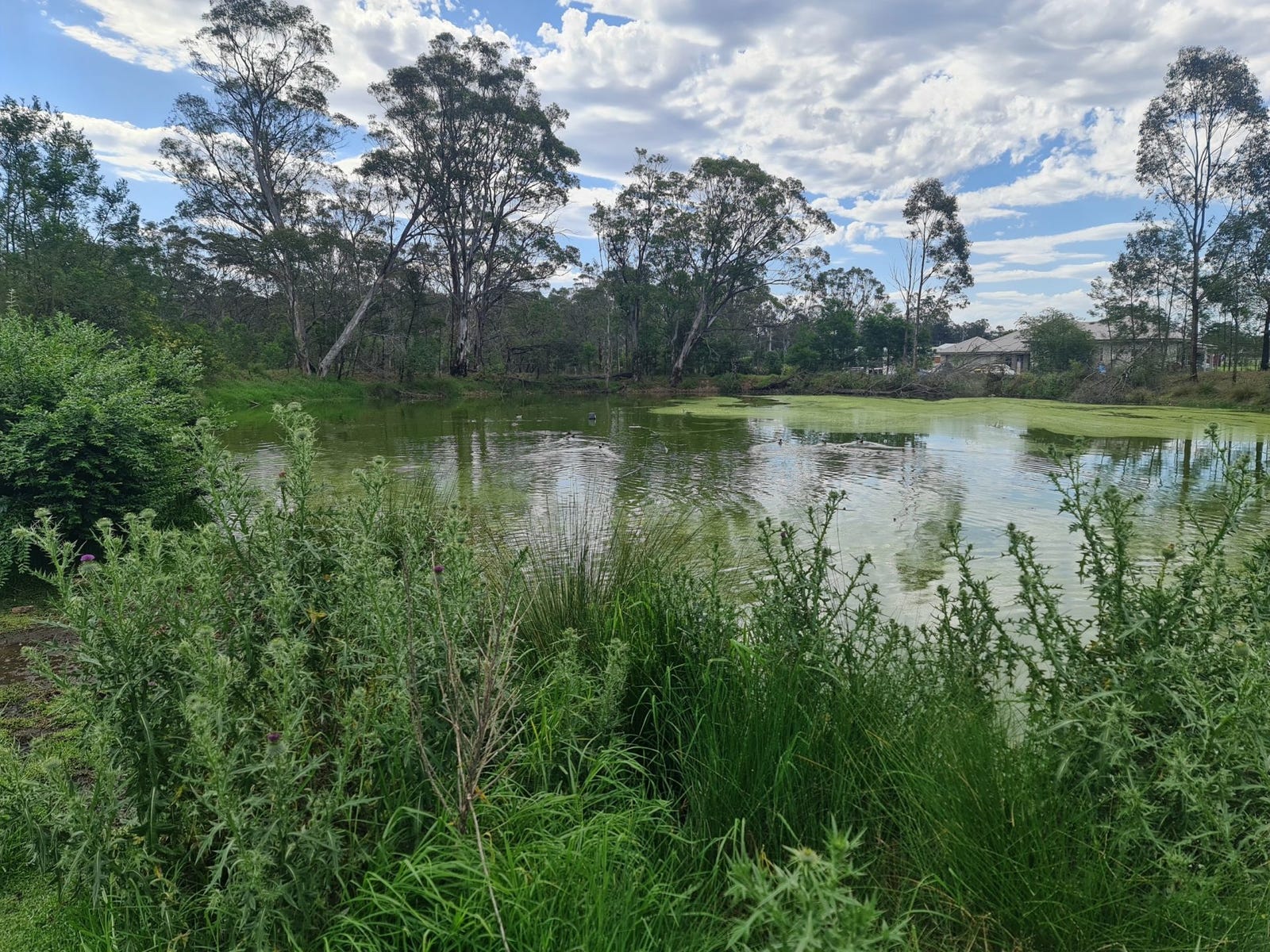Private Real Estate - Tahmoor, NSW 2573