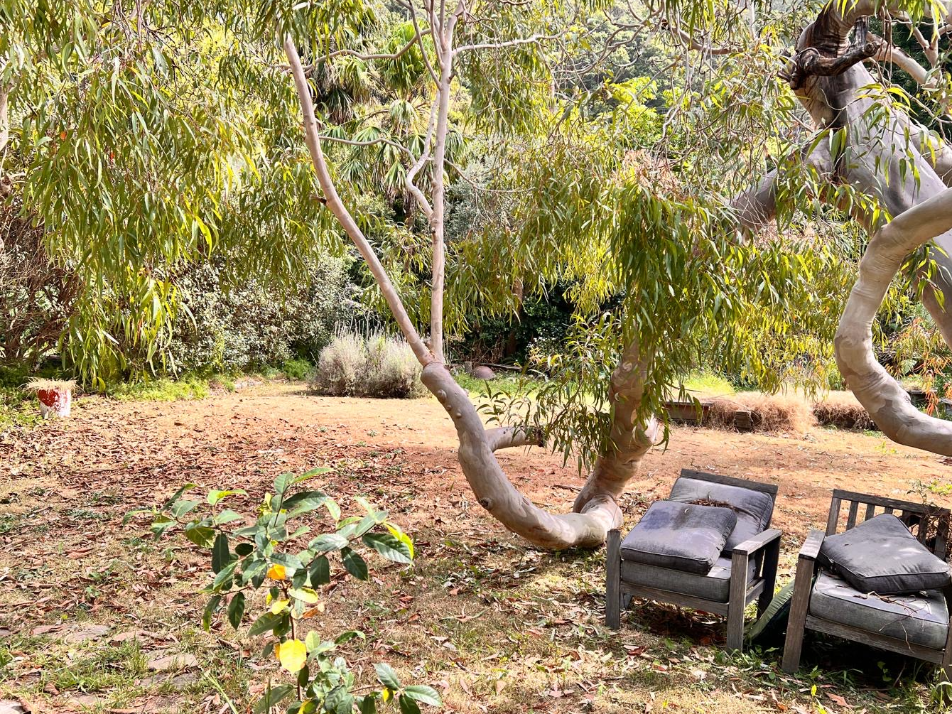 Private Rental in Coalcliff, NSW 2508