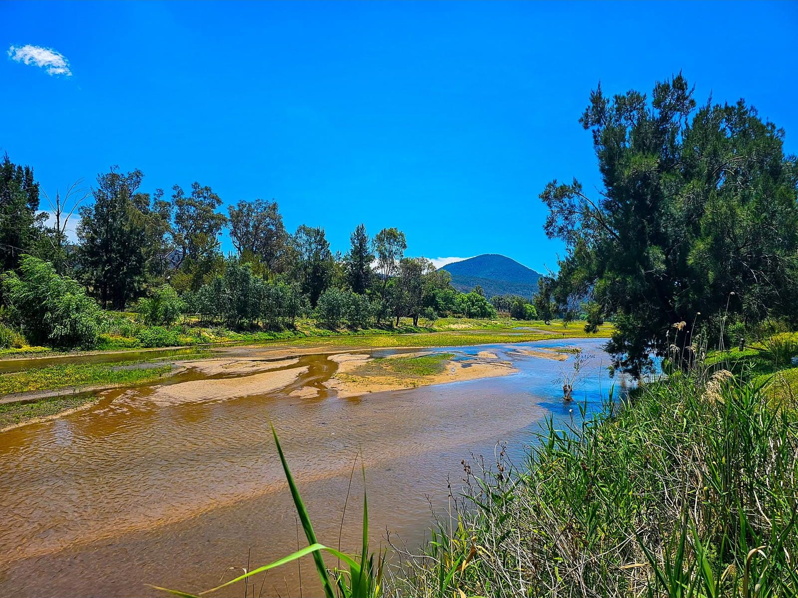 Private Listing - Baerami, NSW 2333