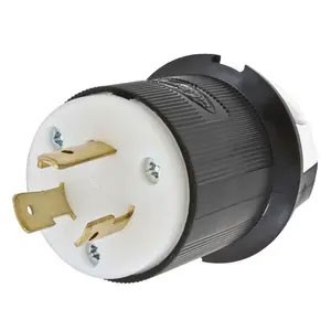 Twist-Lock® 20A 250V 2-Pole/3-Wire Male Plug, Black and White
