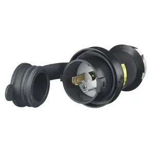 Weatherproof Twist-Lock® 30A 125V 2-Pole/3-Wire Male Plug, Black