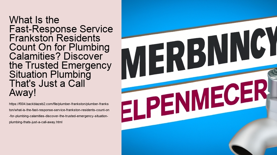 What Is the Fast-Response Service Frankston Residents Count On for Plumbing Calamities? Discover the Trusted Emergency Situation Plumbing That's Just a Call Away!