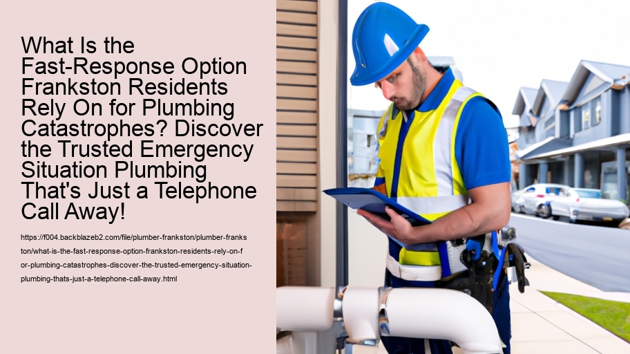 What Is the Fast-Response Option Frankston Residents Rely On for Plumbing Catastrophes? Discover the Trusted Emergency Situation Plumbing That's Just a Telephone Call Away!