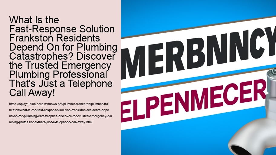 What Is the Fast-Response Solution Frankston Residents Depend On for Plumbing Catastrophes? Discover the Trusted Emergency Plumbing Professional That's Just a Telephone Call Away!