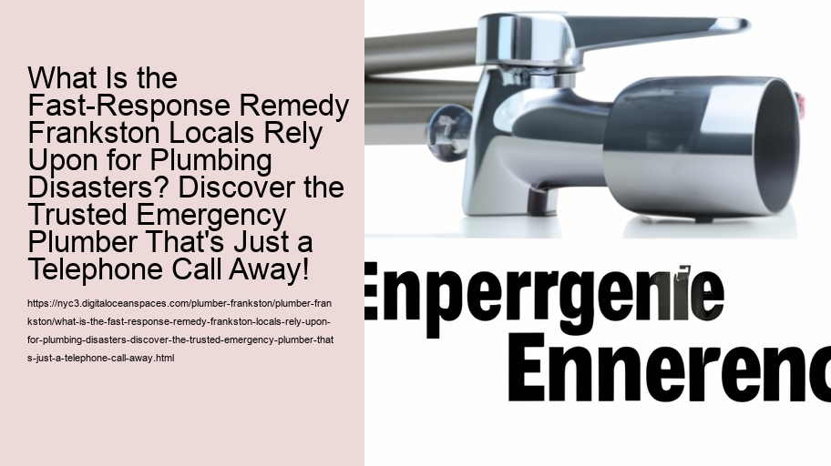 What Is the Fast-Response Remedy Frankston Locals Rely Upon for Plumbing Disasters? Discover the Trusted Emergency Plumber That's Just a Telephone Call Away!