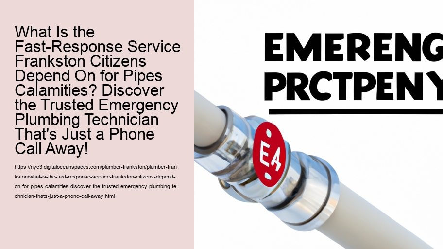 What Is the Fast-Response Service Frankston Citizens Depend On for Pipes Calamities? Discover the Trusted Emergency Plumbing Technician That's Just a Phone Call Away!