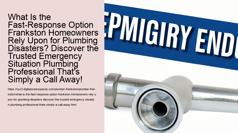 What Is the Fast-Response Option Frankston Homeowners Rely Upon for Plumbing Disasters? Discover the Trusted Emergency Situation Plumbing Professional That's Simply a Call Away!