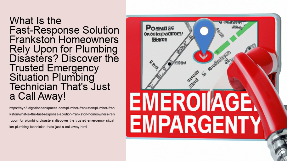 What Is the Fast-Response Solution Frankston Homeowners Rely Upon for Plumbing Disasters? Discover the Trusted Emergency Situation Plumbing Technician That's Just a Call Away!