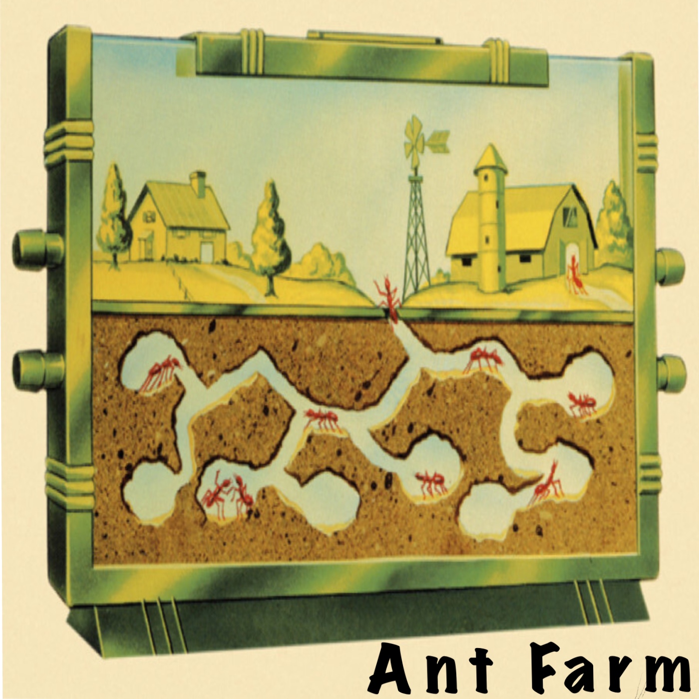 Ant Farm