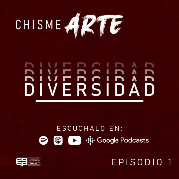 11. Diversidad episode artwork