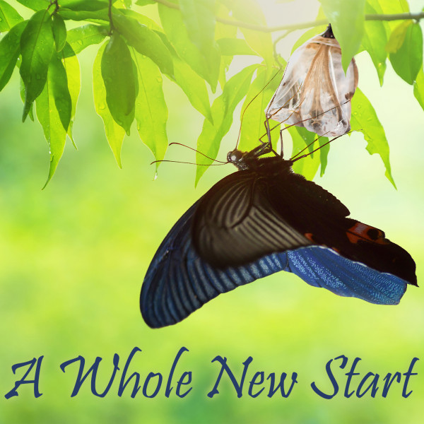 A Whole New Start