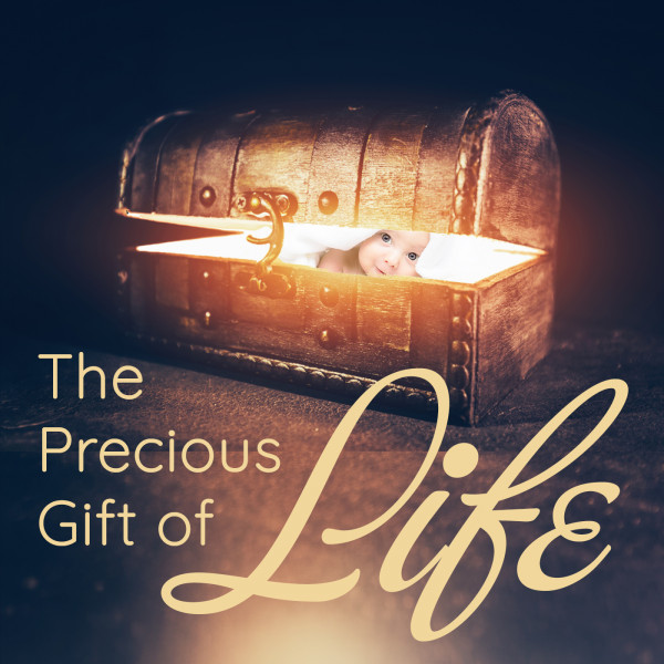 The Precious Gift of Life