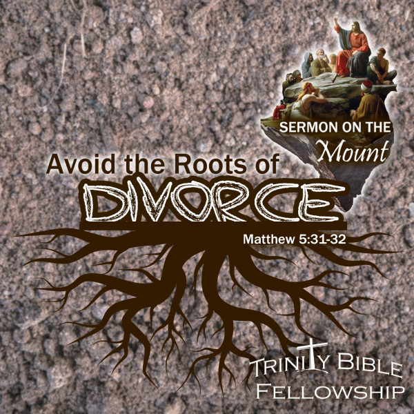 Avoid the Roots of Divorce
